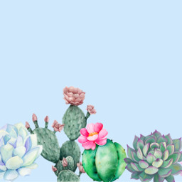 freetoedit cute plants cactus zoom eczoombackgrounds zoombackgrounds