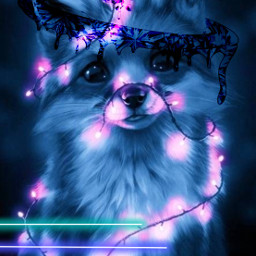 fox pintrest neon lights freetoedit