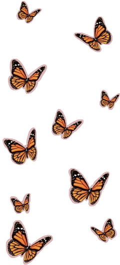 freetoedit butterfly aesthetic aestheticbutterfly butterflysticker
