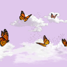 butterfly purple cutee freetoedit