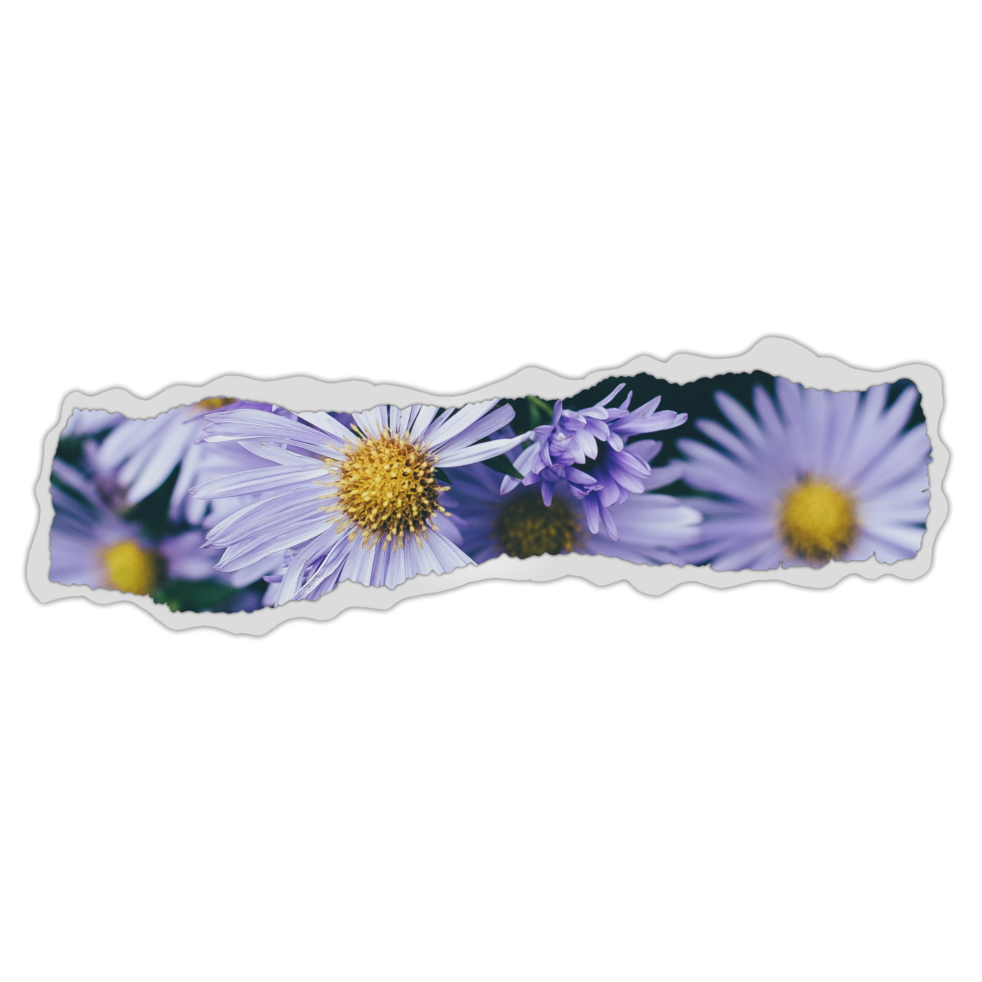 aesthetic-paper-flower-createfromhome-sticker-by-meeori