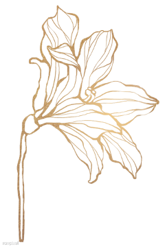 freetoedit lily leaf leaves goldenleaf