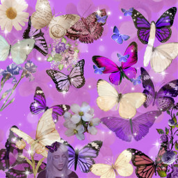freetoedit butterflies butterfly purple purplebutterfly