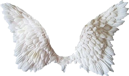 Freetoedit 羽 はね 素材 量産型 Freetoedit 羽 はね Sticker By X968x