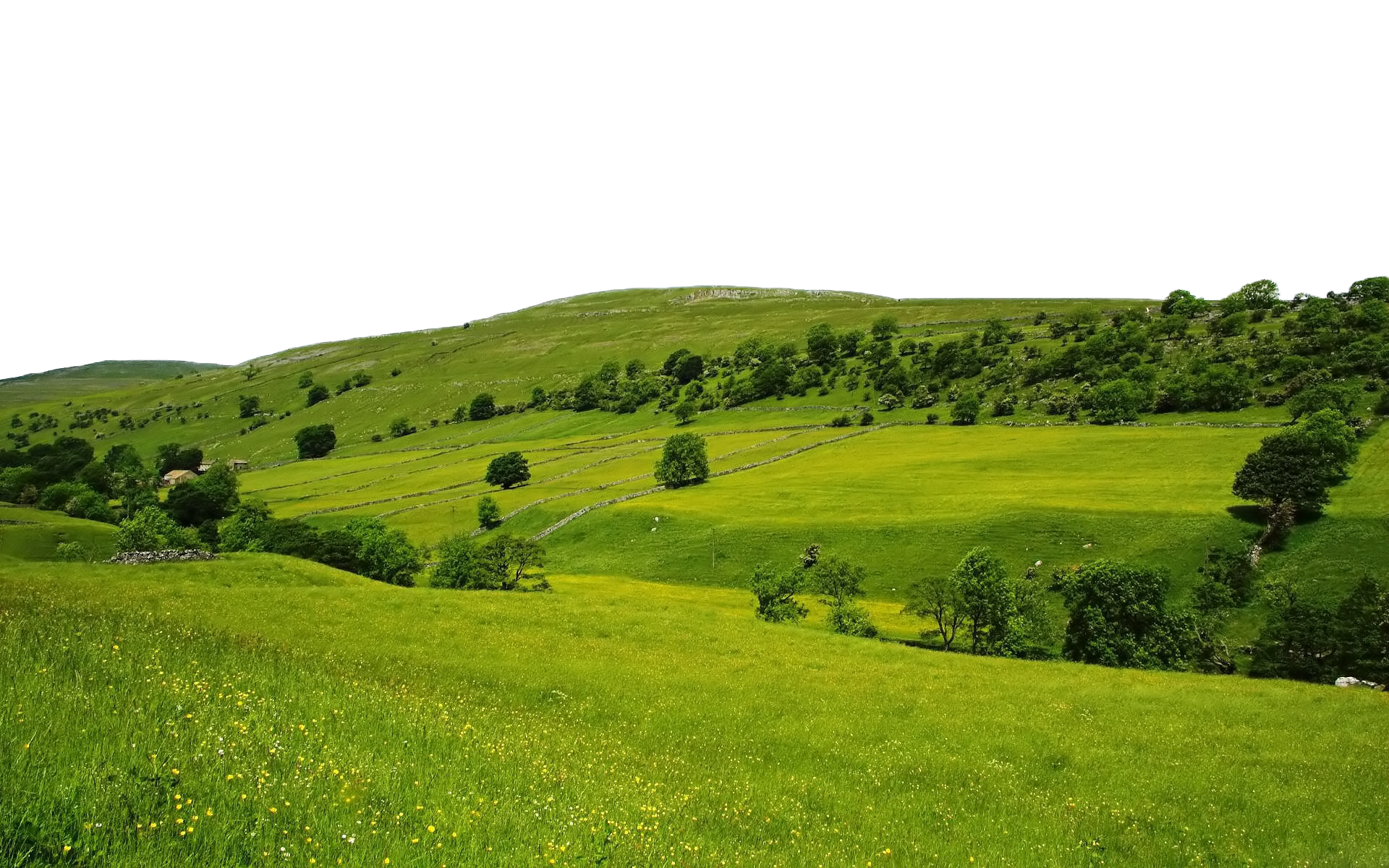 Луг холм. Холмисто-равнинная местность Приднестровья. Холмистая равнина. Холмистая местность. Холмистый пейзаж.