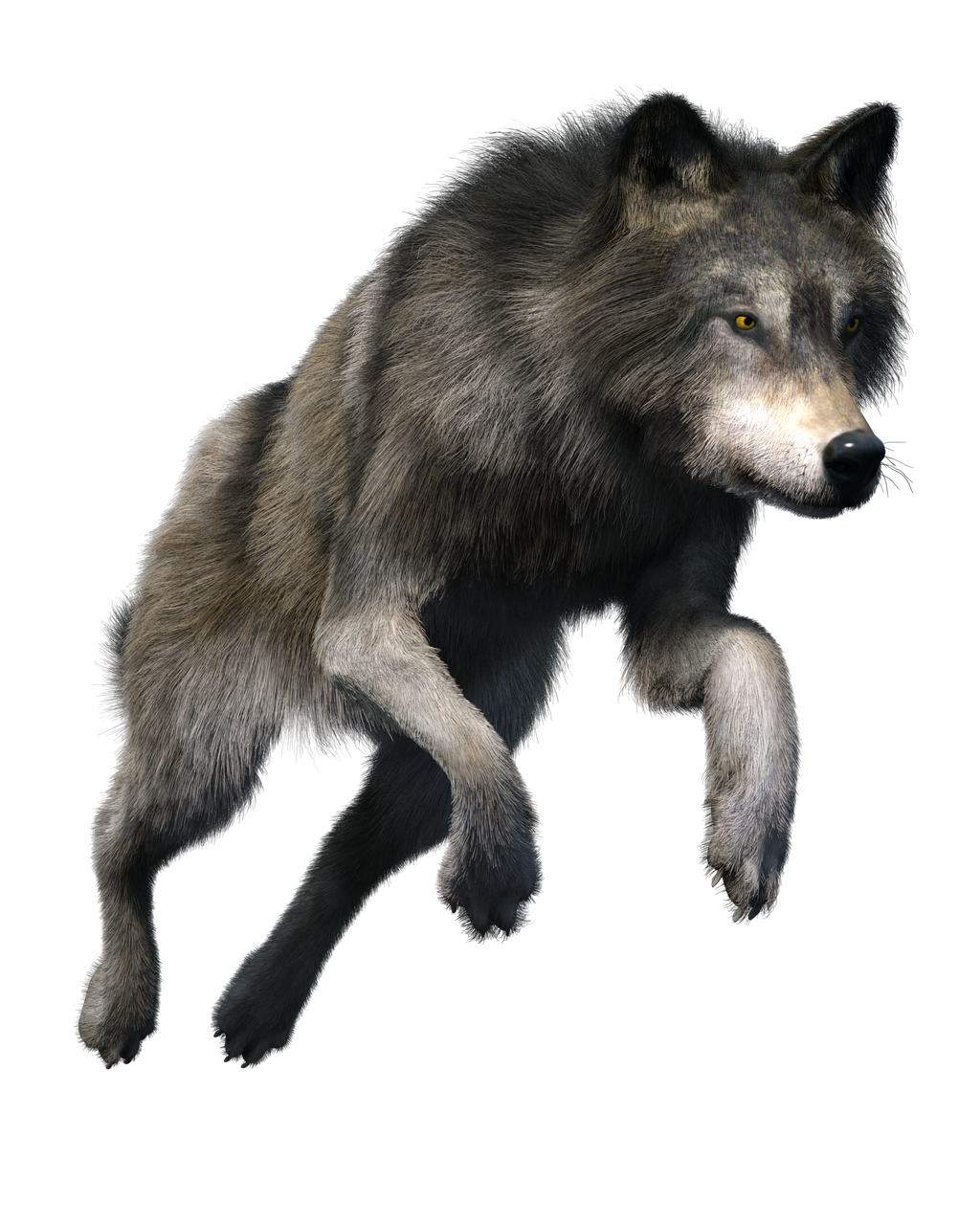 Lobo Vector Png Png Image Lobo Png Stunning Free Transparent Png | My