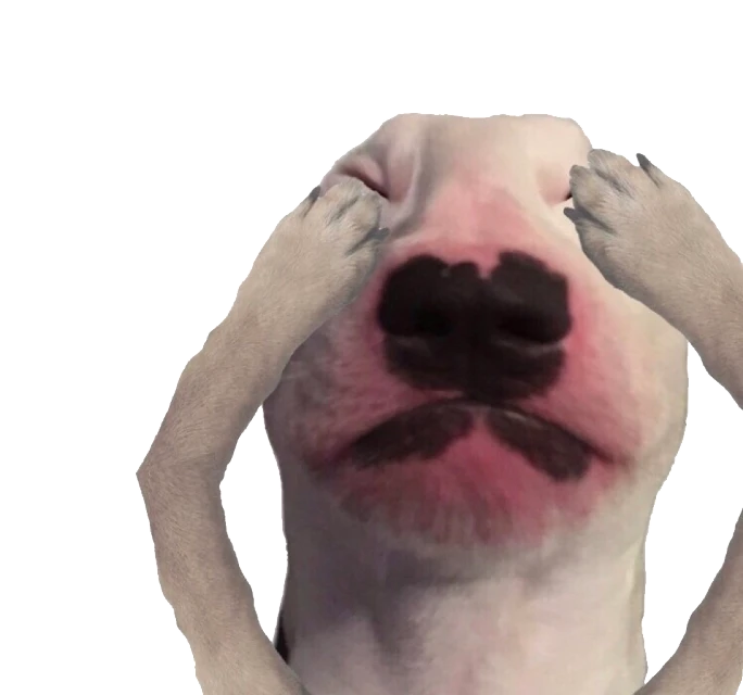 Meme Dog Walter