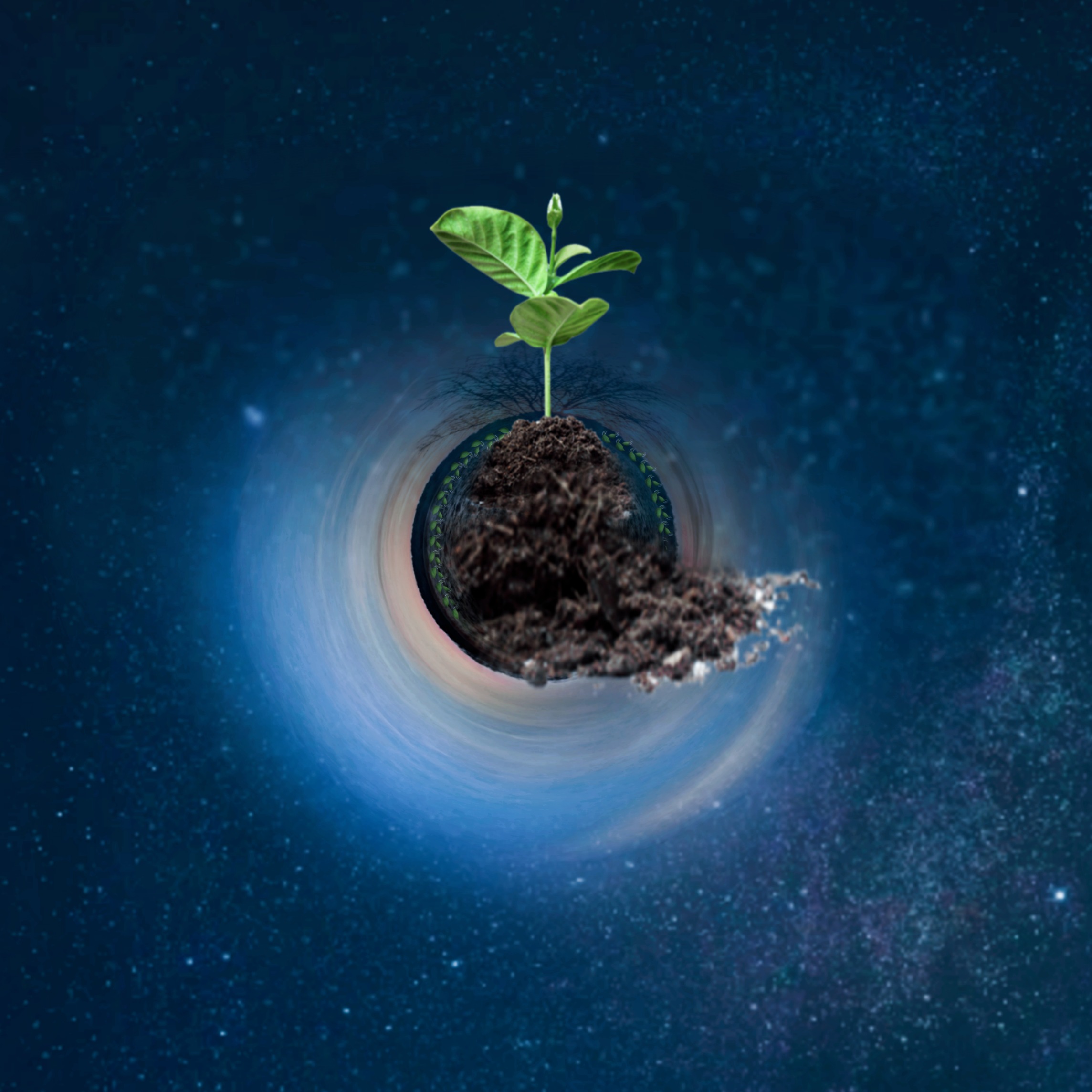 #environmentday #earth #world #space #plant #dirt #emotions#madewithpicsart #howto > tinyplanet > universe overlay> plant sticker> icy3 filter