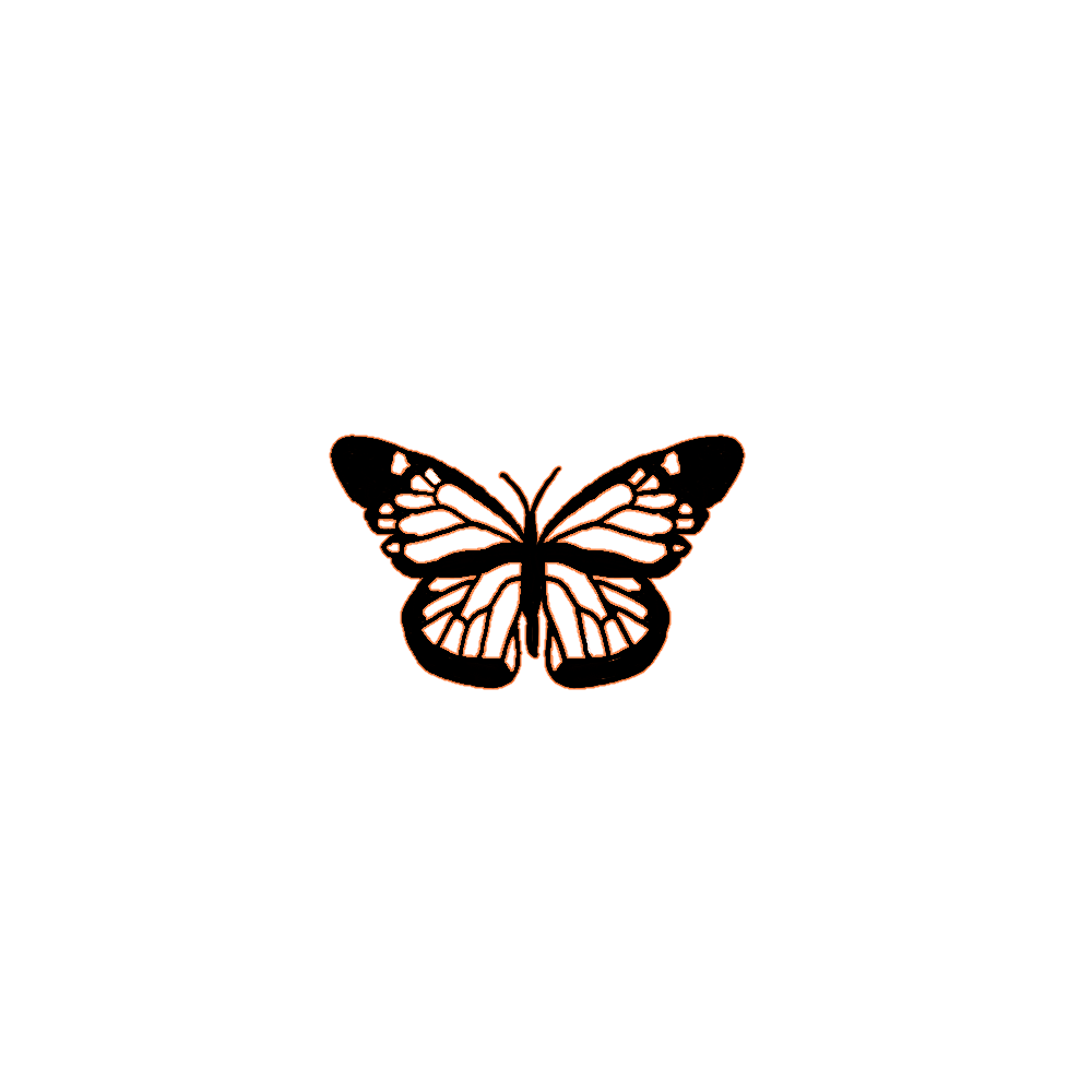 The Coolest Butterfly Stickers on Picsart