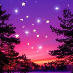 sunset purple pink stars trees