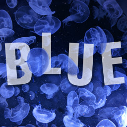 freetoedit blue jellyfish text drawingtools