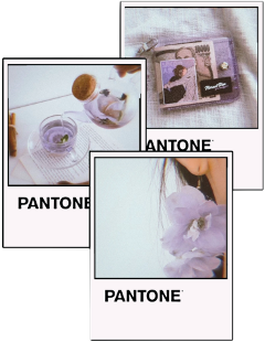 freetoedit pantonecolor pantone purpleaesthetic aestheticedit