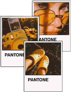 freetoedit aestheticedit pantonecolor pantone yellow