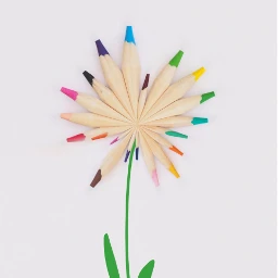 freetoedit flower pencils tinyplaneteffect digitaldrawing ircrainbowcolors rainbowcolors
