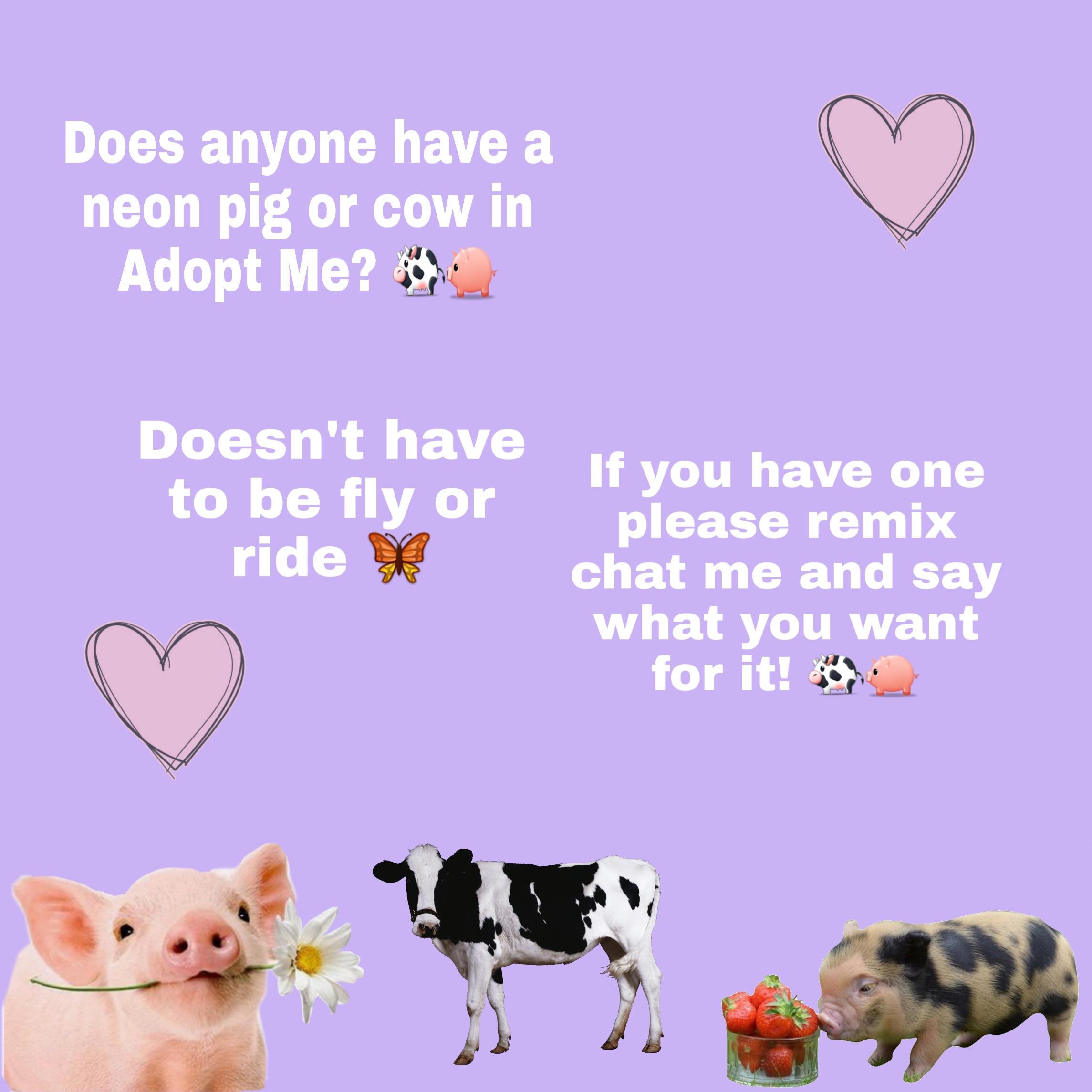 Adoptme Image By Omg Ily All Tysm For The Support - roblox adopt me pets pig