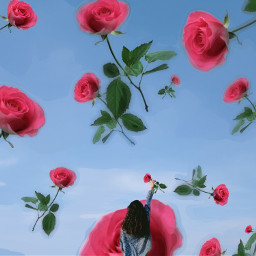 freetoedit roses surreal irctouchthesky