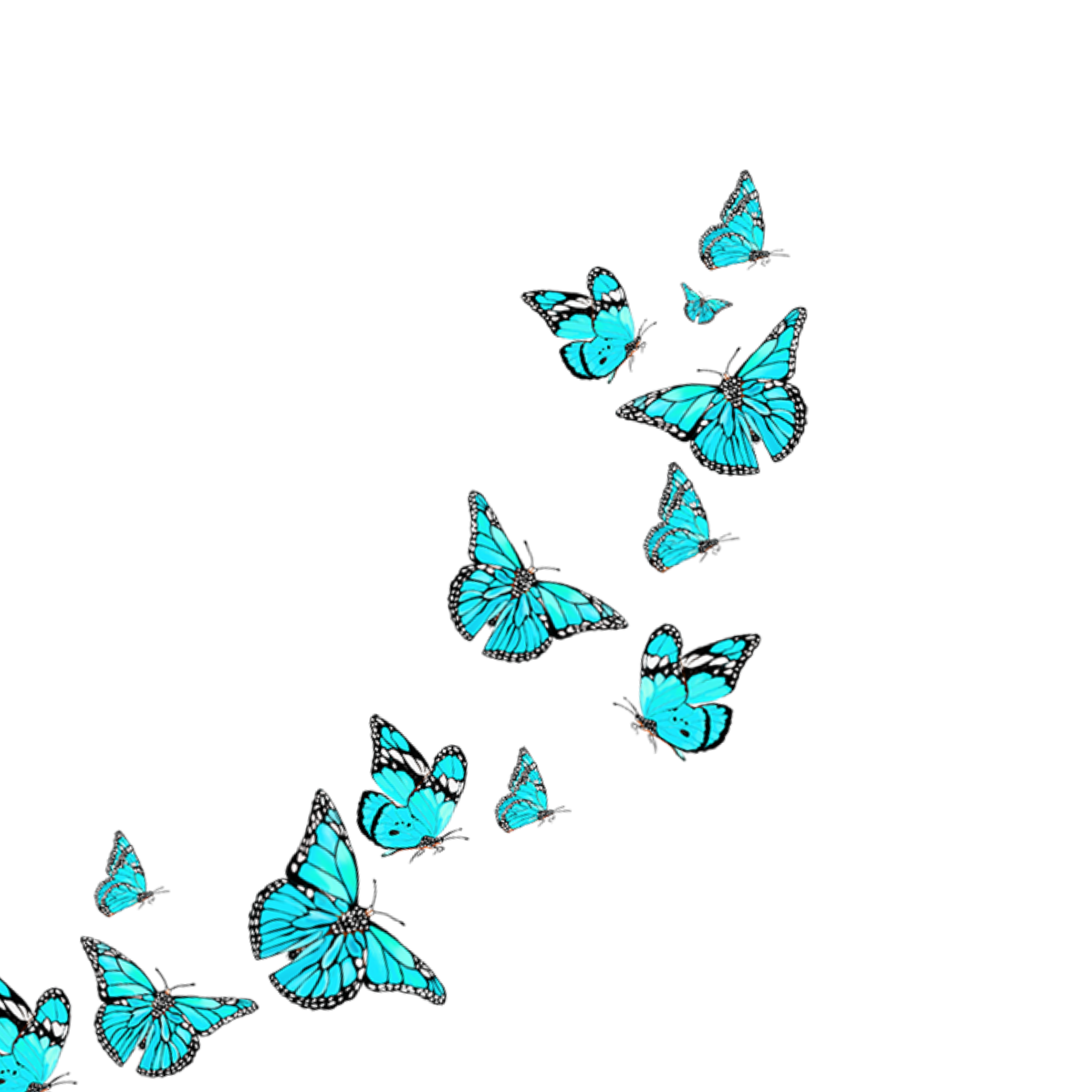 Freetoedit Blue Butterfly Sticker By Youshouldfollowme 1131