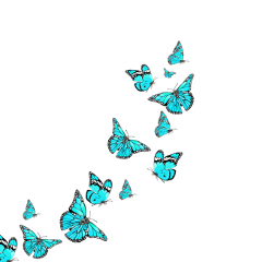 freetoedit blue butterfly background overlay