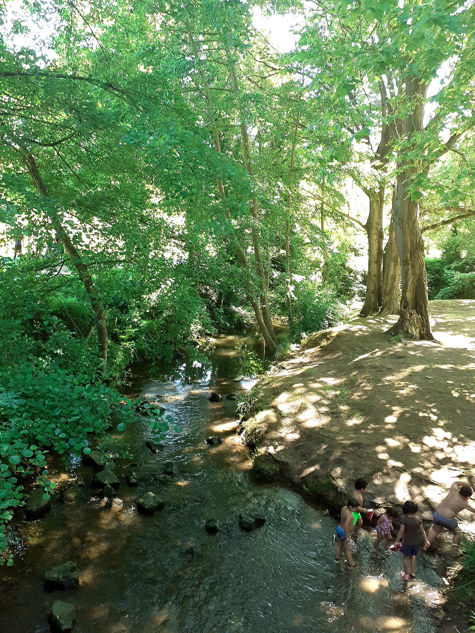 River Nature Forest Landscapes Creek Image By Inguma