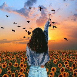 freetoedit girl girasoles sunset irctouchthesky touchthesky