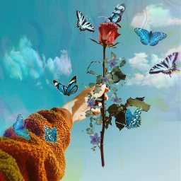 freetoedit rcholographicbutterflies holographicbutterflies