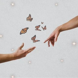 freetoedit butterfly aesthetic aestheticsky sparkles ircreachout reachout hands