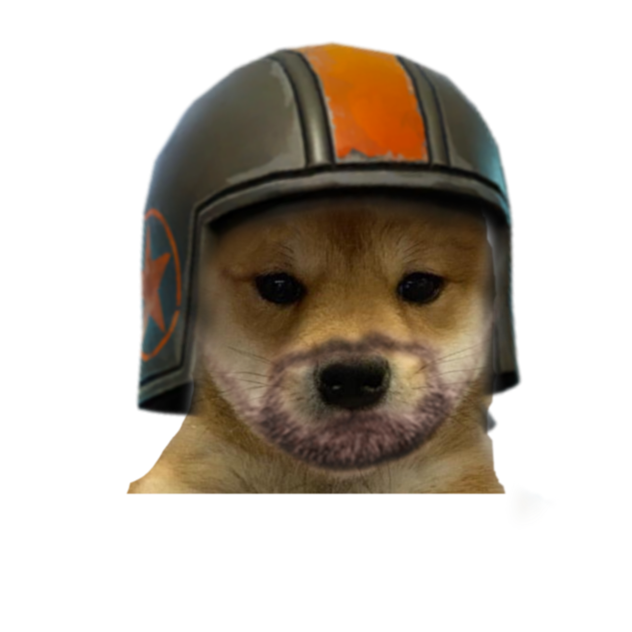 Featured image of post View 28 Aerial Assault Trooper Dog