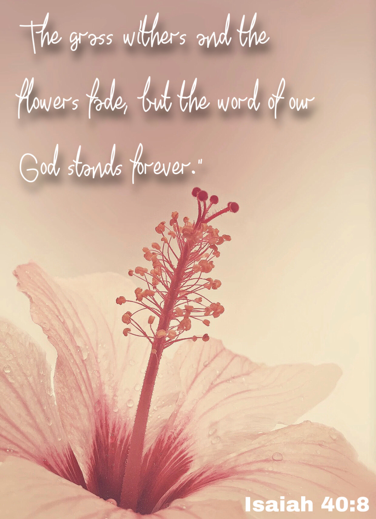 forever The grass withers and the flowers fade, but the word of our