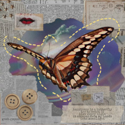 freetoedit ecbackgroundchange backgroundchange butterfly mariposa