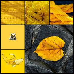 yellow collage ccyellowaesthetic yellowaesthetic