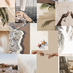 freetoedit collage aestheticcollage pintrest beige