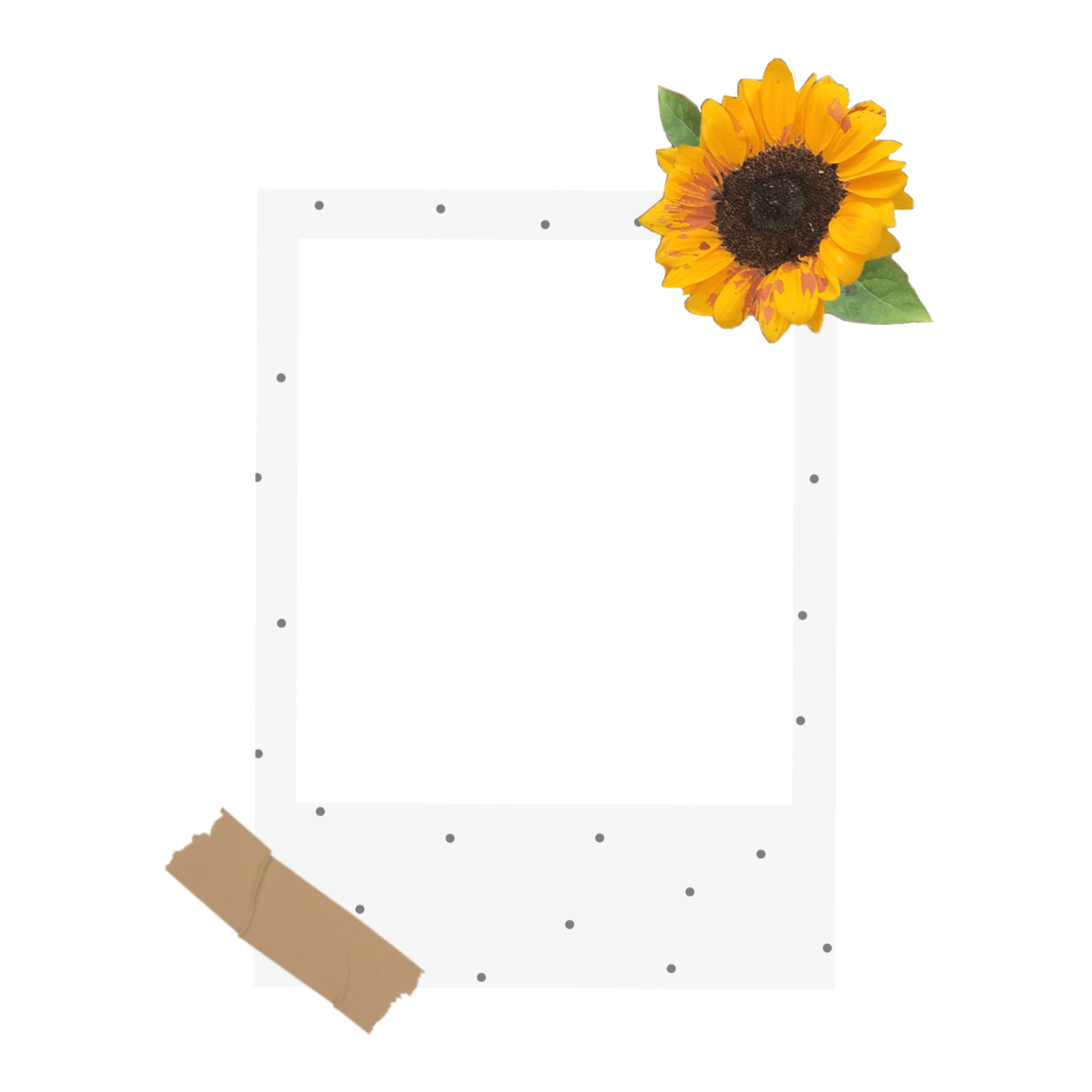 aesthetic polaroid sunflower sticker by @aesthetic094