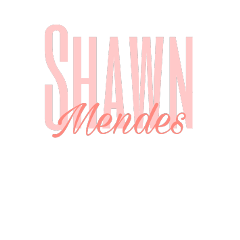 freetoedit shawn mendes shawnmendes shawnsname