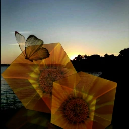 freetoedit sunset sea night flower ccyellowaesthetic yellowaesthetic