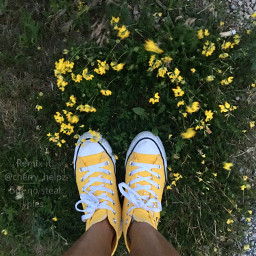 nofilter yellow yellowshoes shoes flower flowers yellowflowers yellowflower converse yellowaesthetic yellowconverse freetoedit