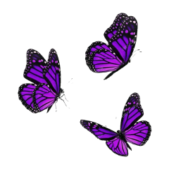 freetoedit purple purplesesthetic purplebutterfly
