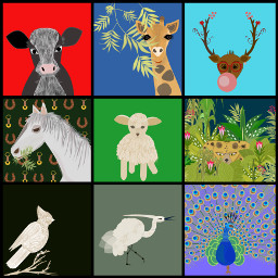 animals portrait collage