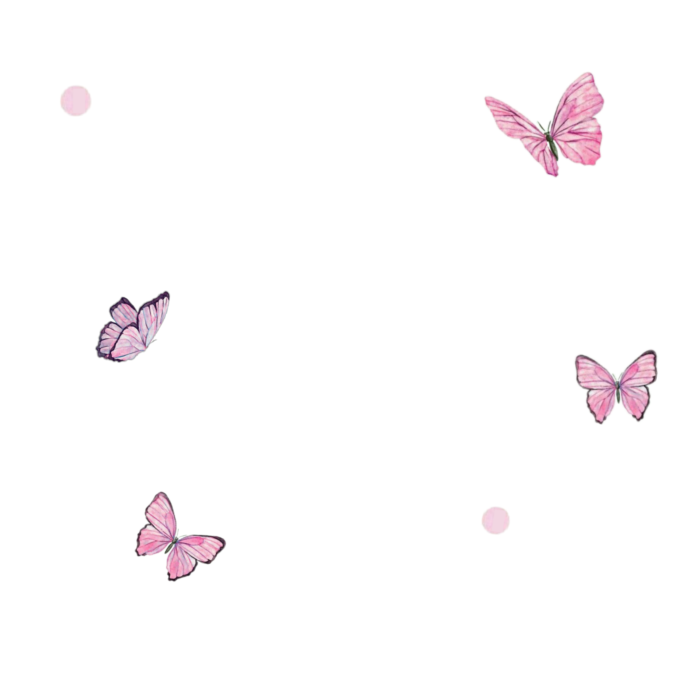 freetoedit butterfly tiny soft pink sticker by @olibb-
