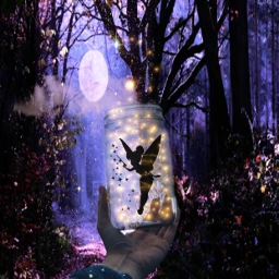 fairy enchantedforest fairies pixies wizard sorcerer moon magicjarchallenge freetoedit ircmagicjar magicjar