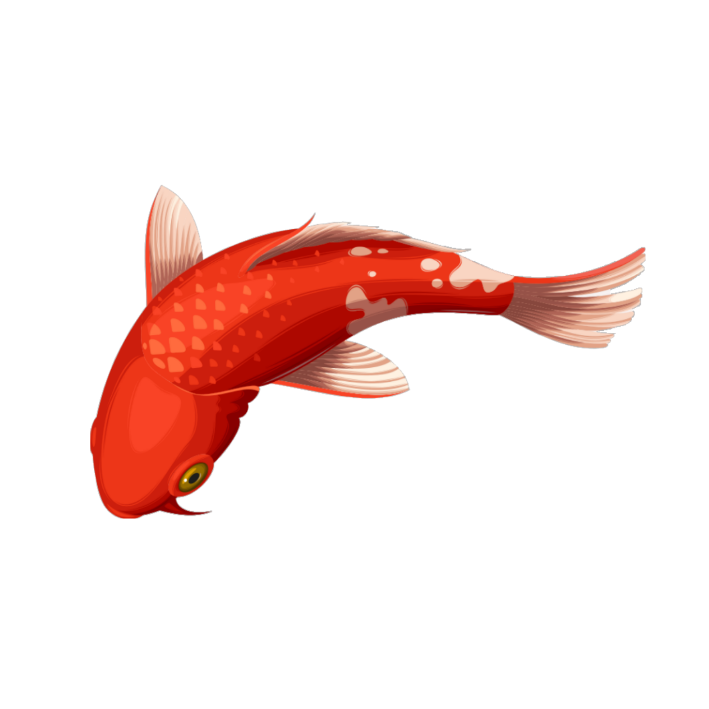 freetoedit koi koifish sticker by @kreativginger