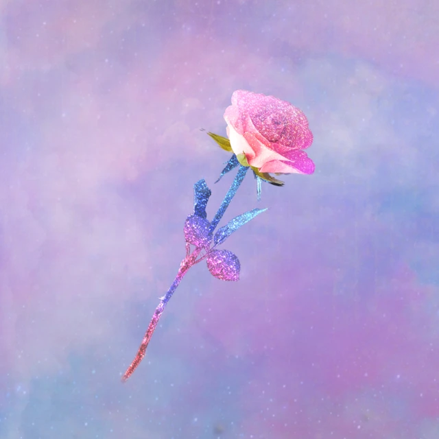 薔薇 幻想的 Image By すずき 薔薇 幻想的 Image By すずき