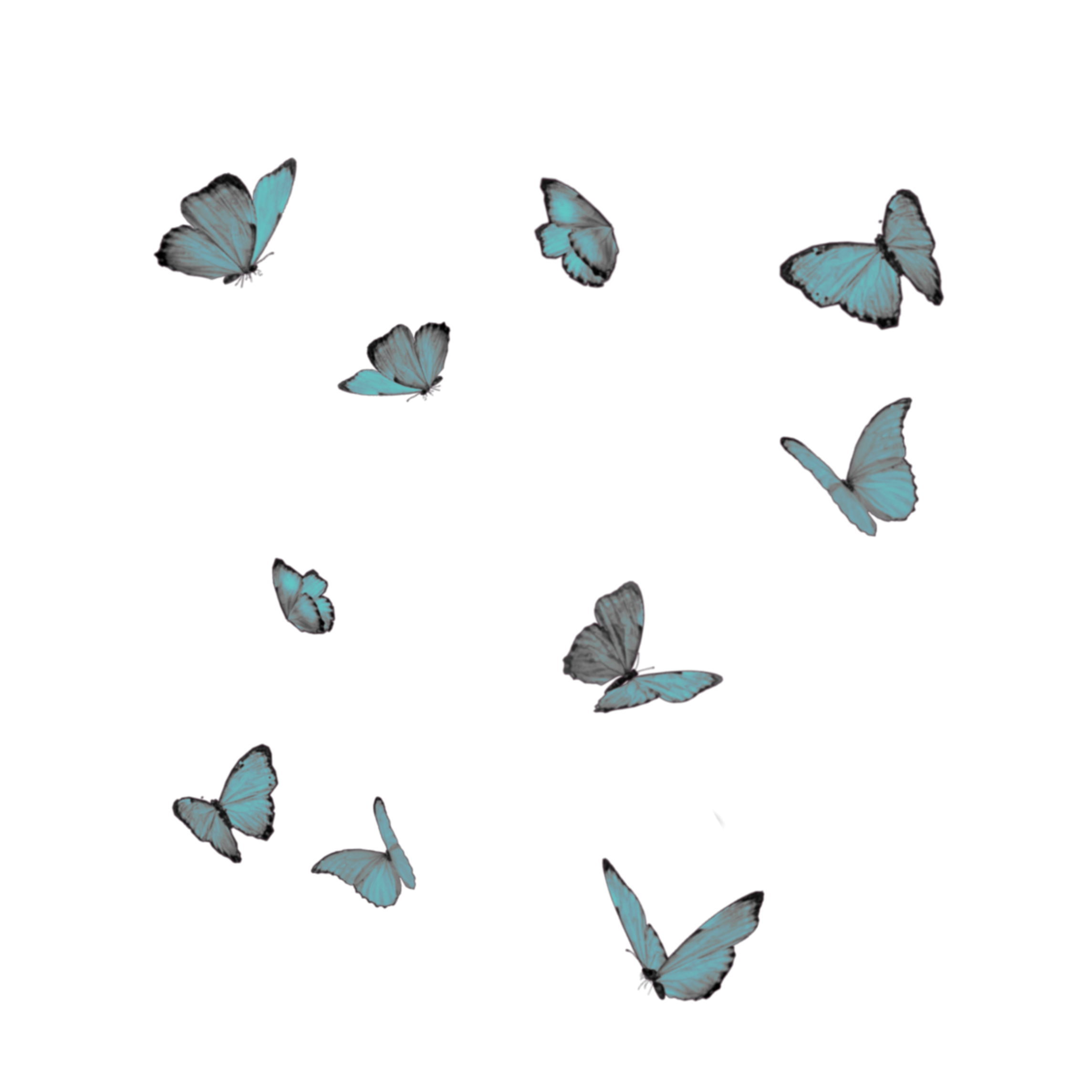 mariposas celeste freetoedit sticker by @oracionescatlicas