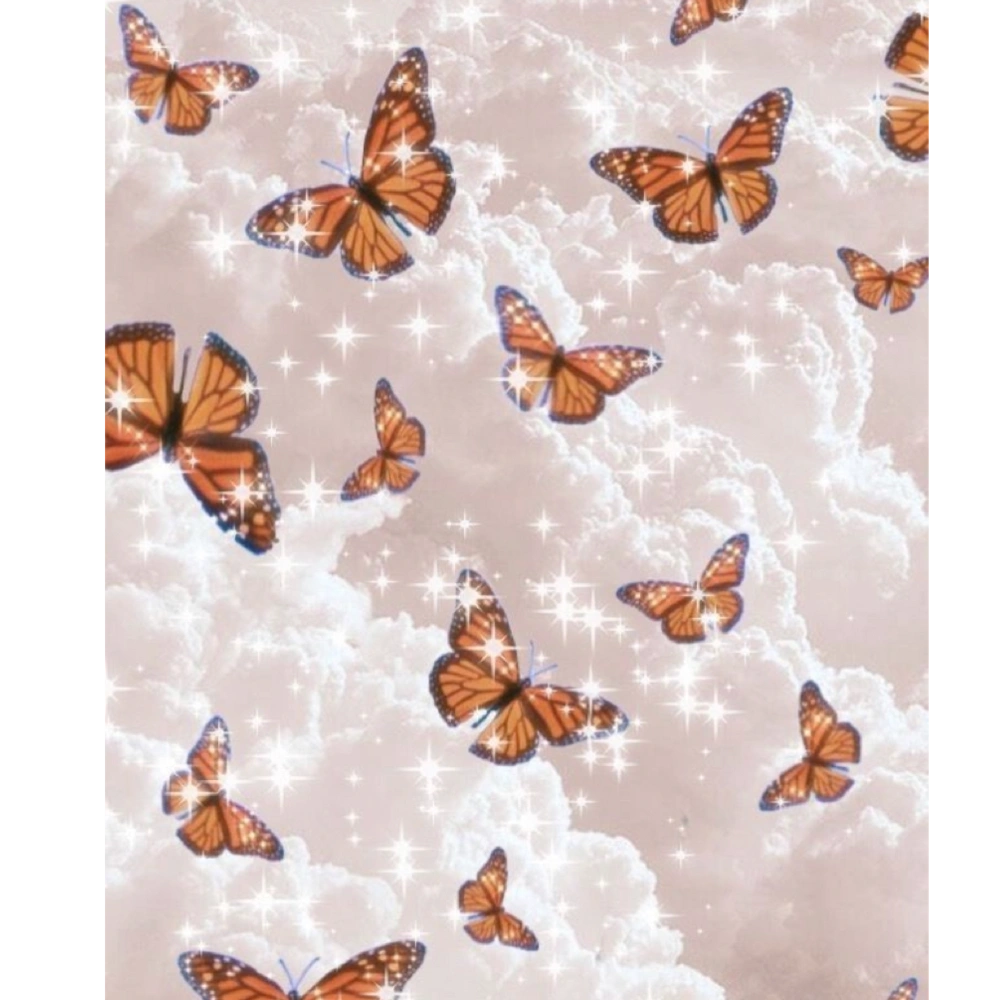 #indie #butterfly #butterflies #cloud