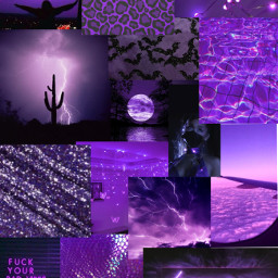 purple purpleaesthetic purplecollage collage