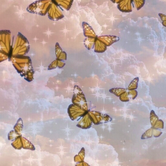 aesthetic butterflys butterfly glitter glittery clouds sticker freetoedit