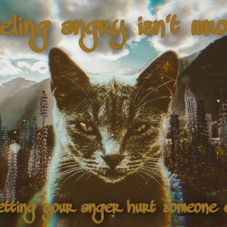 cat cats heypicsart replay angry feelings wrong hurt hurting vnyl glitch quotes sad freetoedit