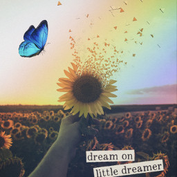 dreamon dream sunflower rainbow aesthetic butterfly pretty ircsunflowerinmyhand sunflowerinmyhand freetoedit
