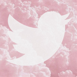 twitter y2k aesthetic pinkaesthetic widget app apple iphone phone ios homescreen ios14 freetoedit