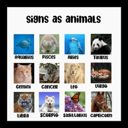 horoscopes- Profiles on Picsart horoscopes- Profiles on Picsart