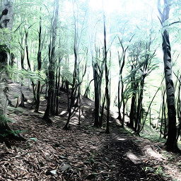 freetoedit forest nature woods green scary magic picsart edit picsartedit